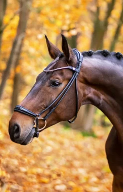 Träns Remontnosgrimma Rundsytt Spirit Svart/Silver