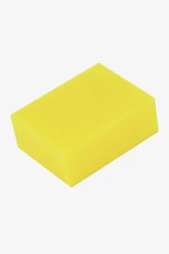 Tvättsvamp