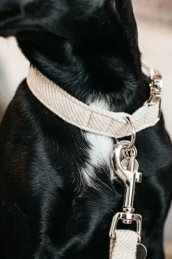 Ull Hundhalsband