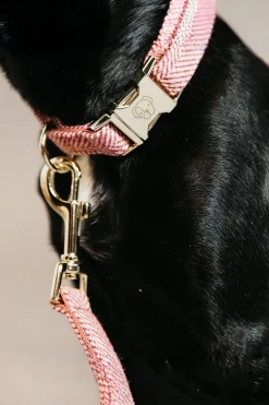 Ull Hundhalsband