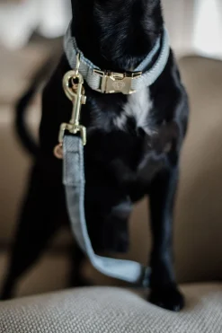 Ull Hundkoppel