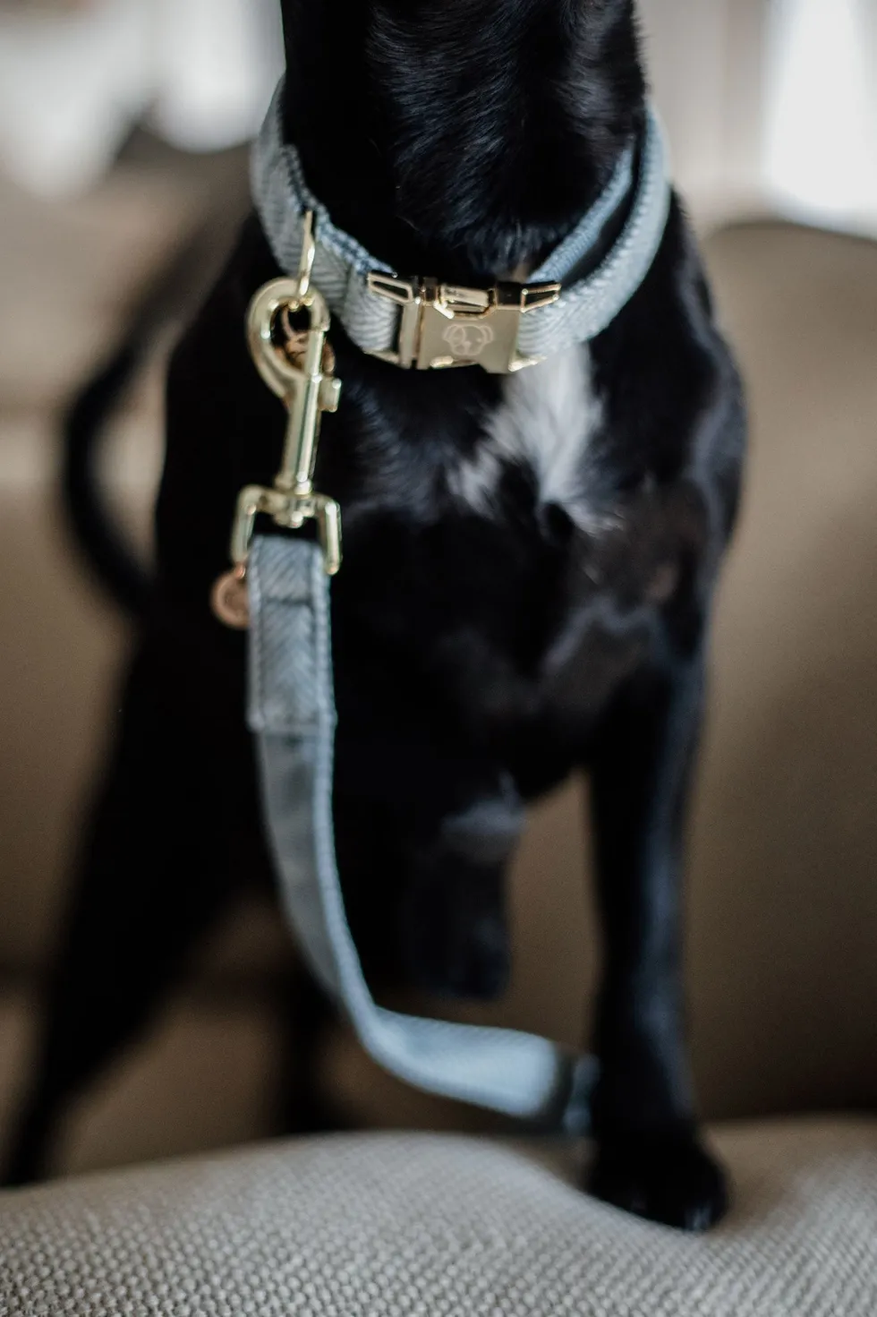 Ull Hundkoppel