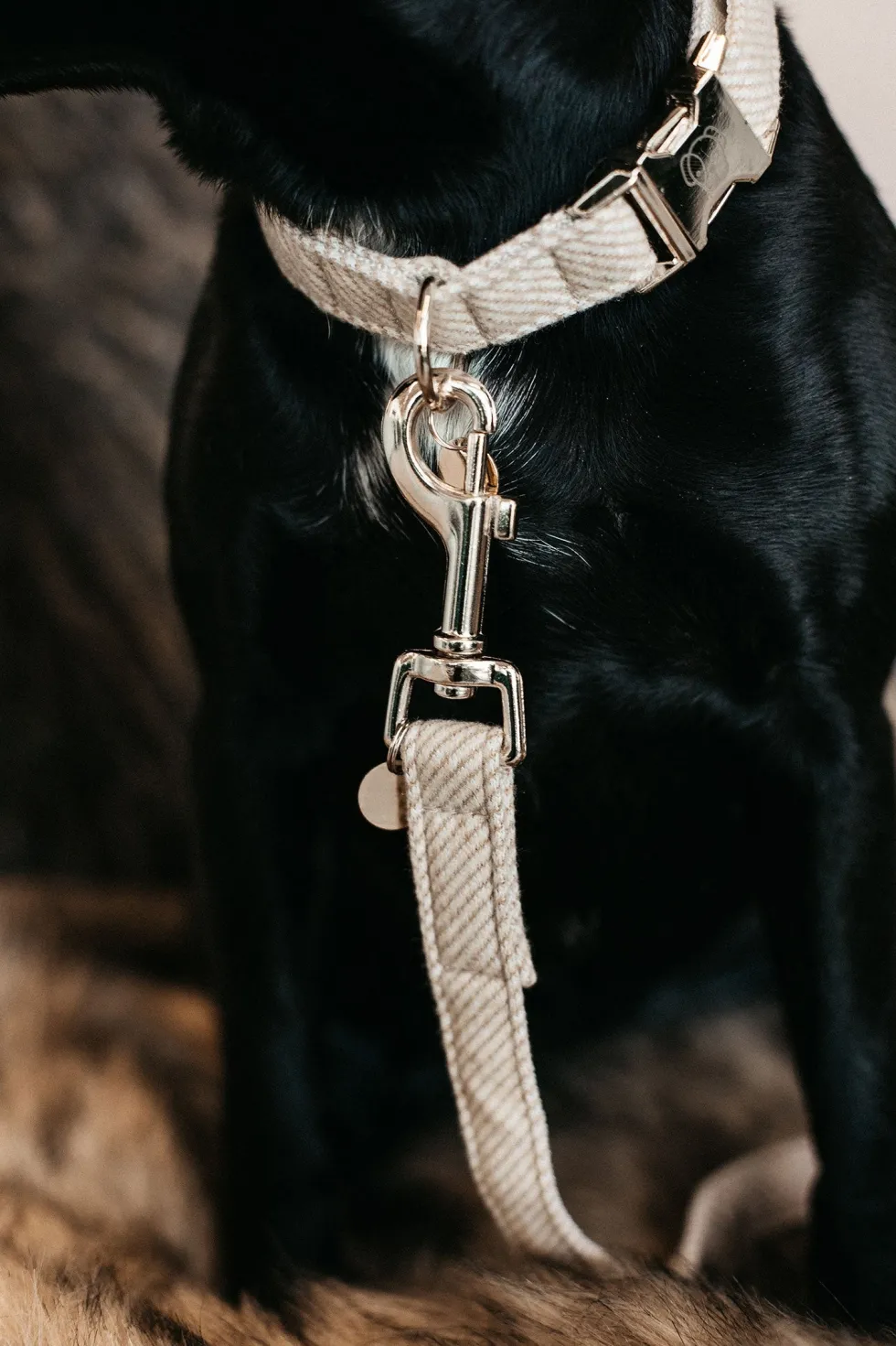 Ull Hundkoppel