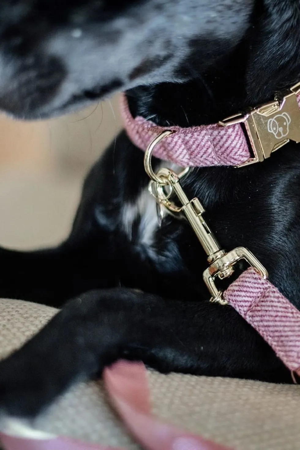 Ull Hundkoppel