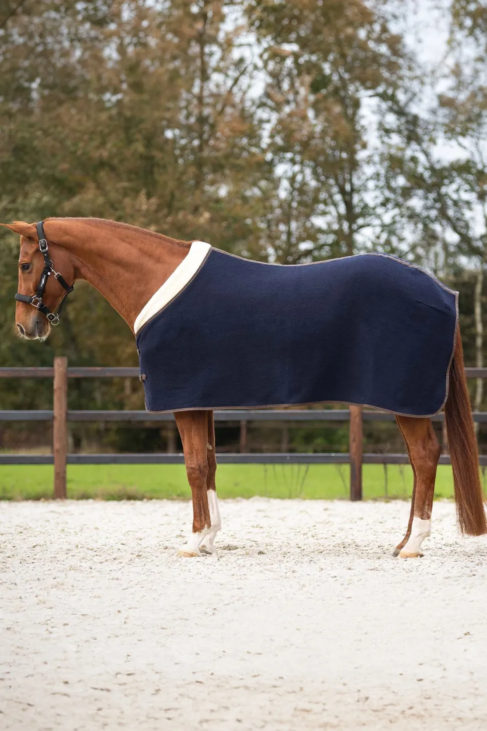 Ulltäcke Deluxe Navy