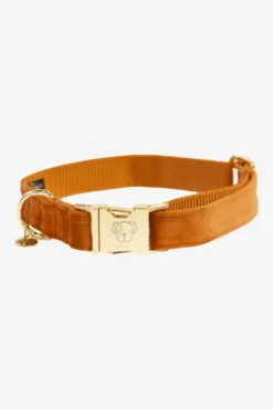 Velvet Hundhalsband