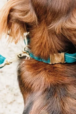 Velvet Hundhalsband