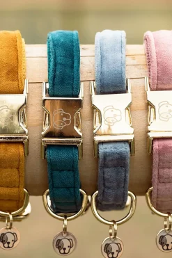 Velvet Hundhalsband