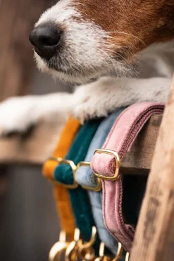 Velvet Hundhalsband