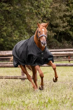 Vintertäcke Nordic 200g Svart