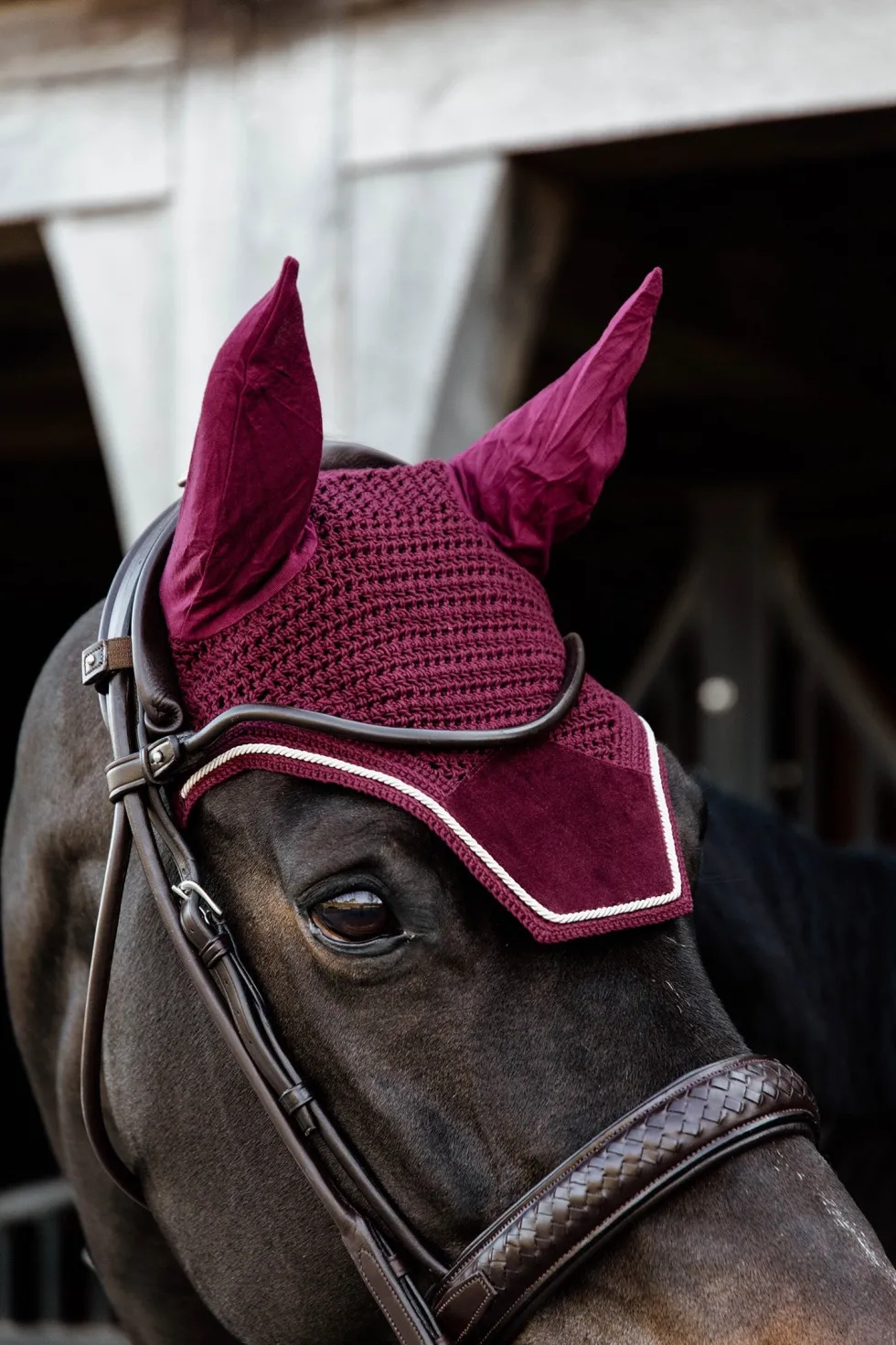 Wellington Huva Sammet Bordeaux